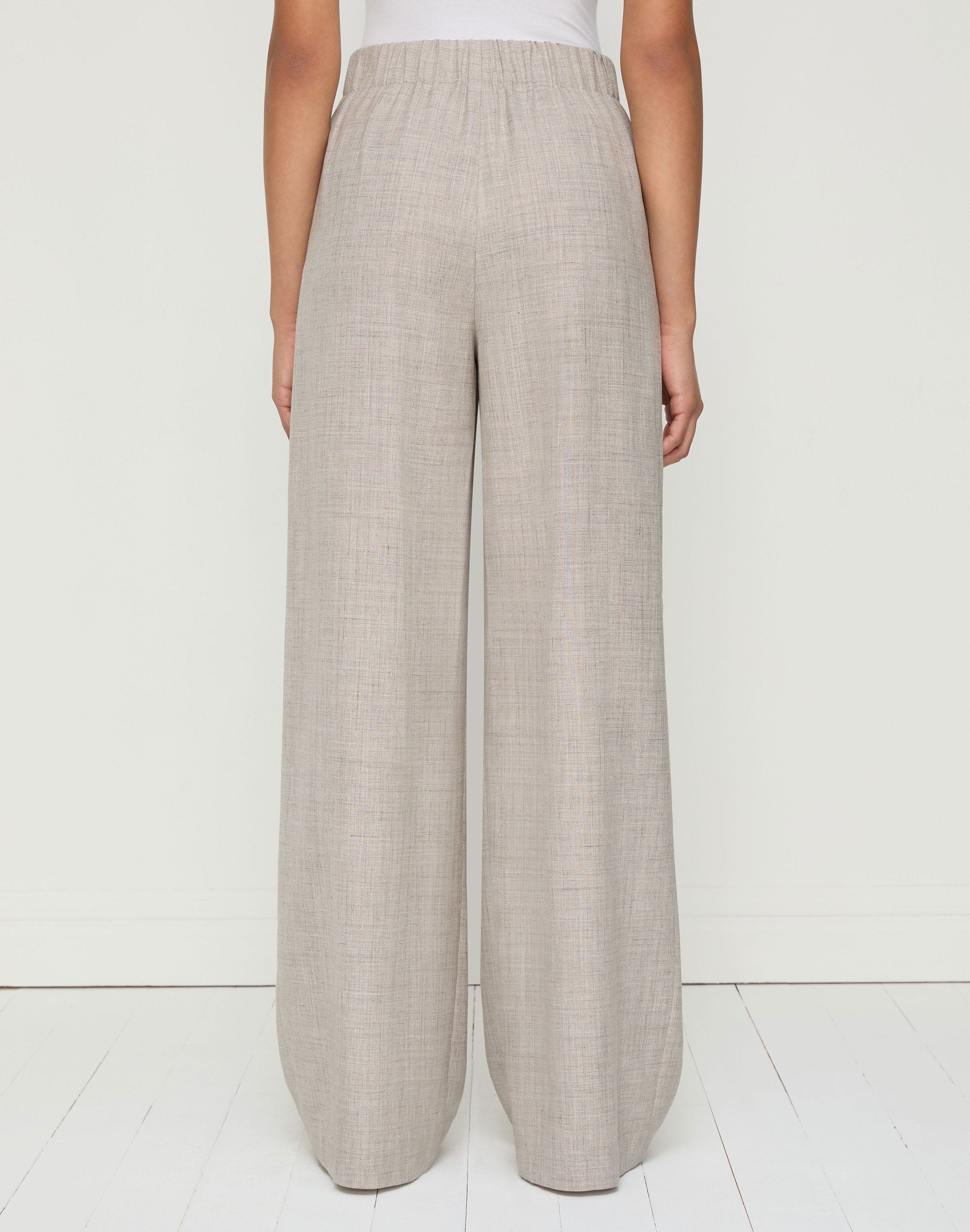 Tropical Wool-Silk Astor Pleated Wide Leg Pant