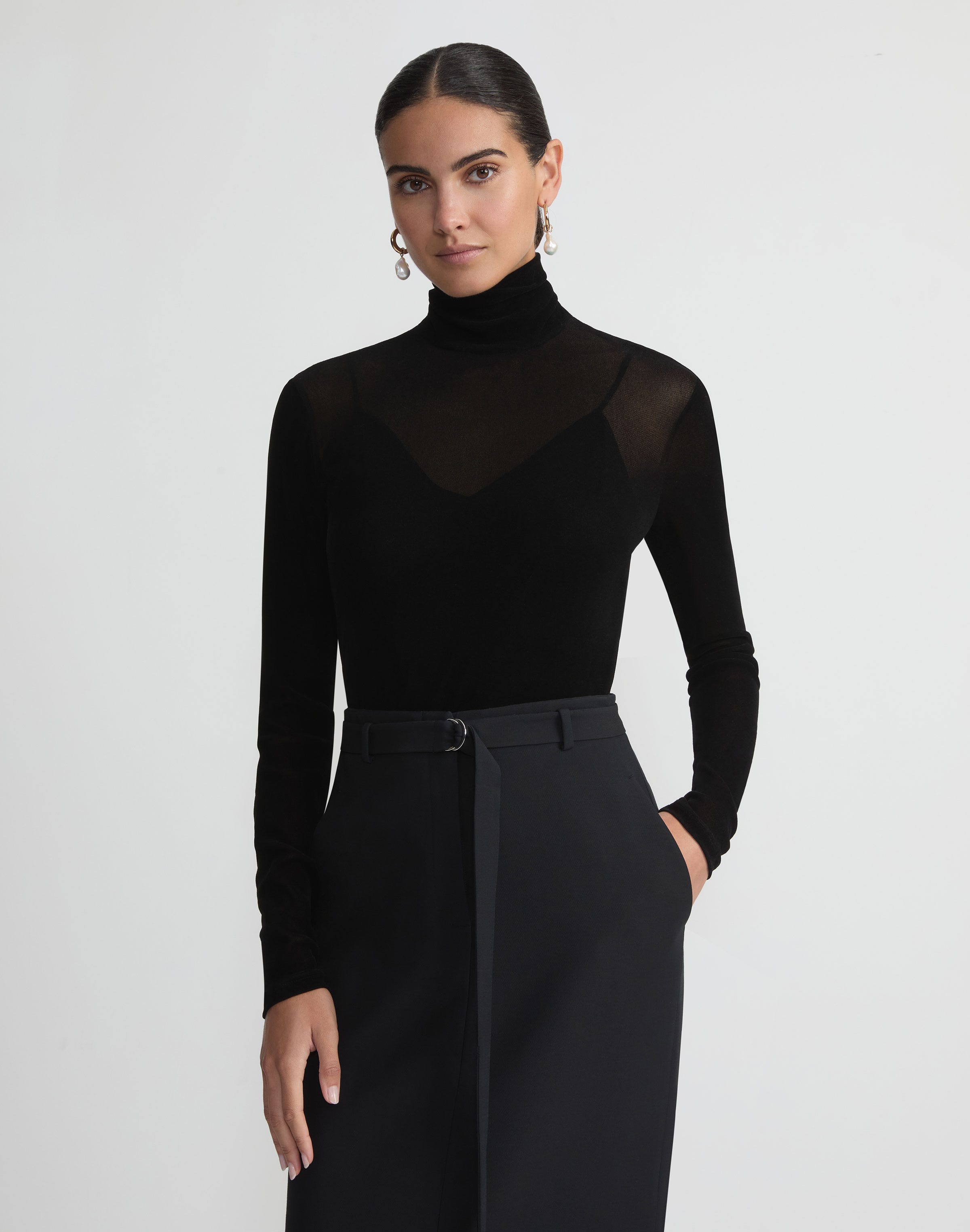 Velvet Mesh Jersey Sheer Turtleneck Top