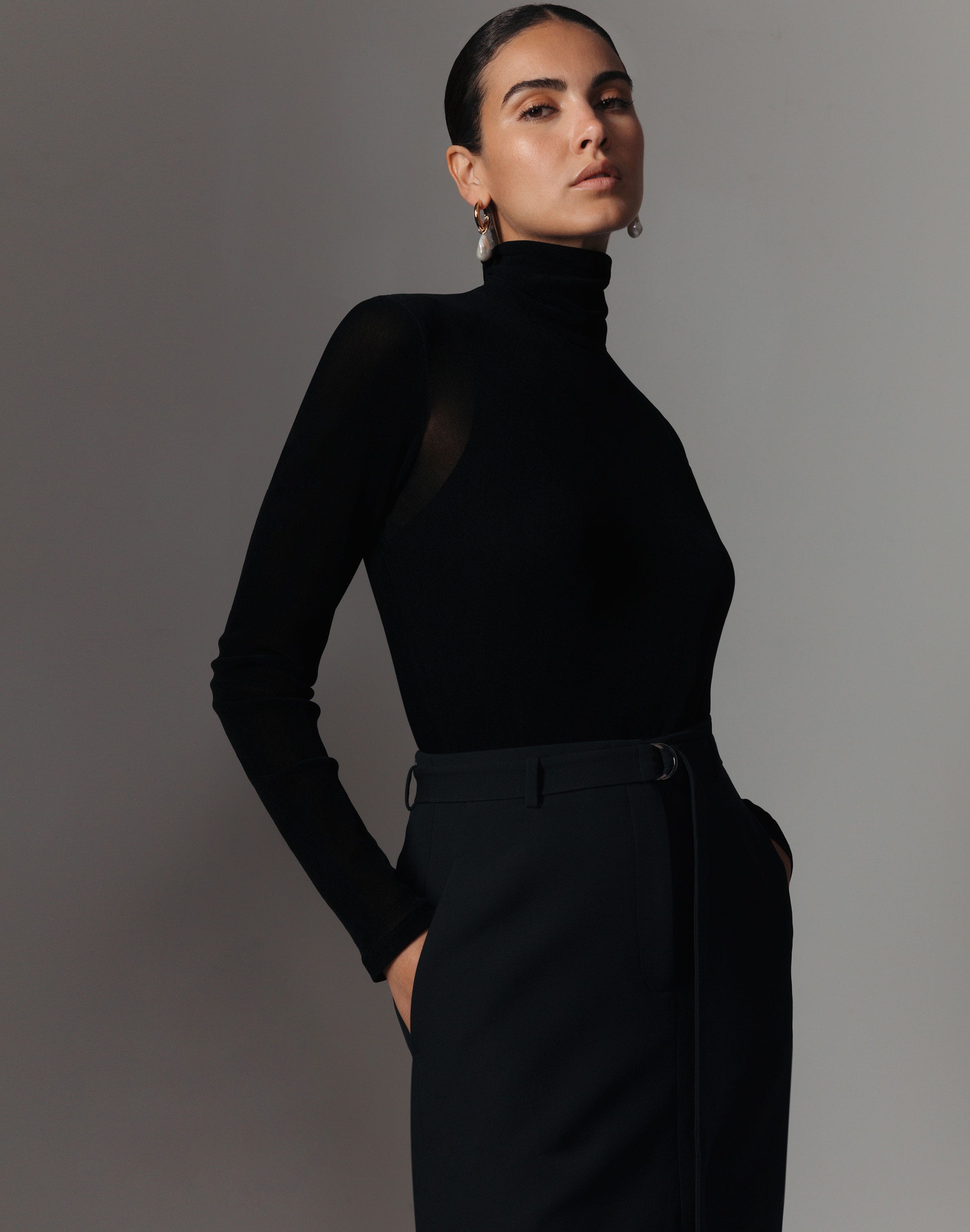 Velvet Mesh Jersey Sheer Turtleneck Top
