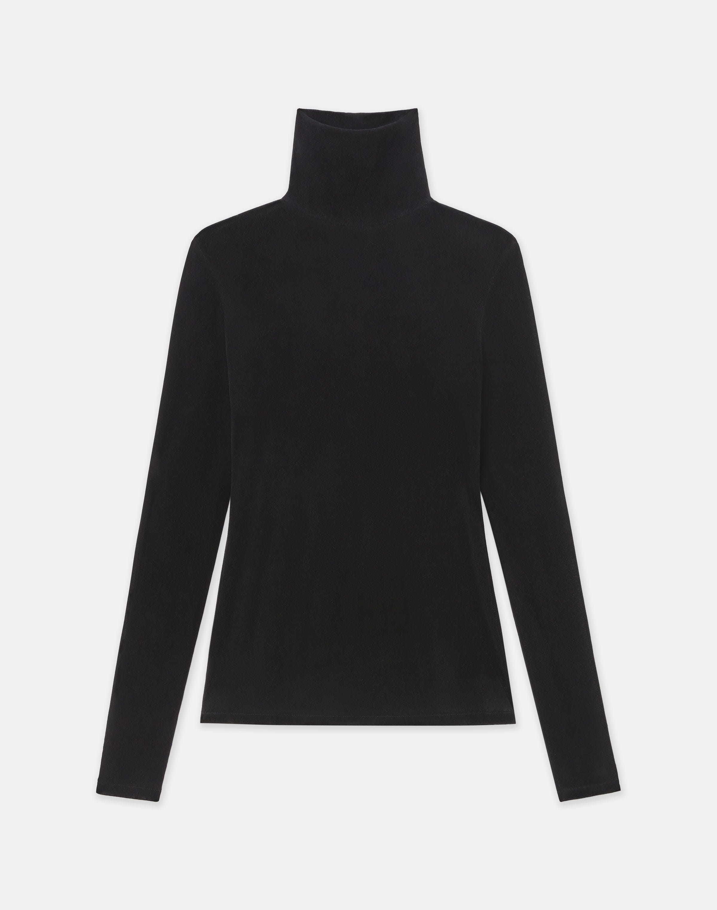 Velvet Mesh Jersey Sheer Turtleneck Top